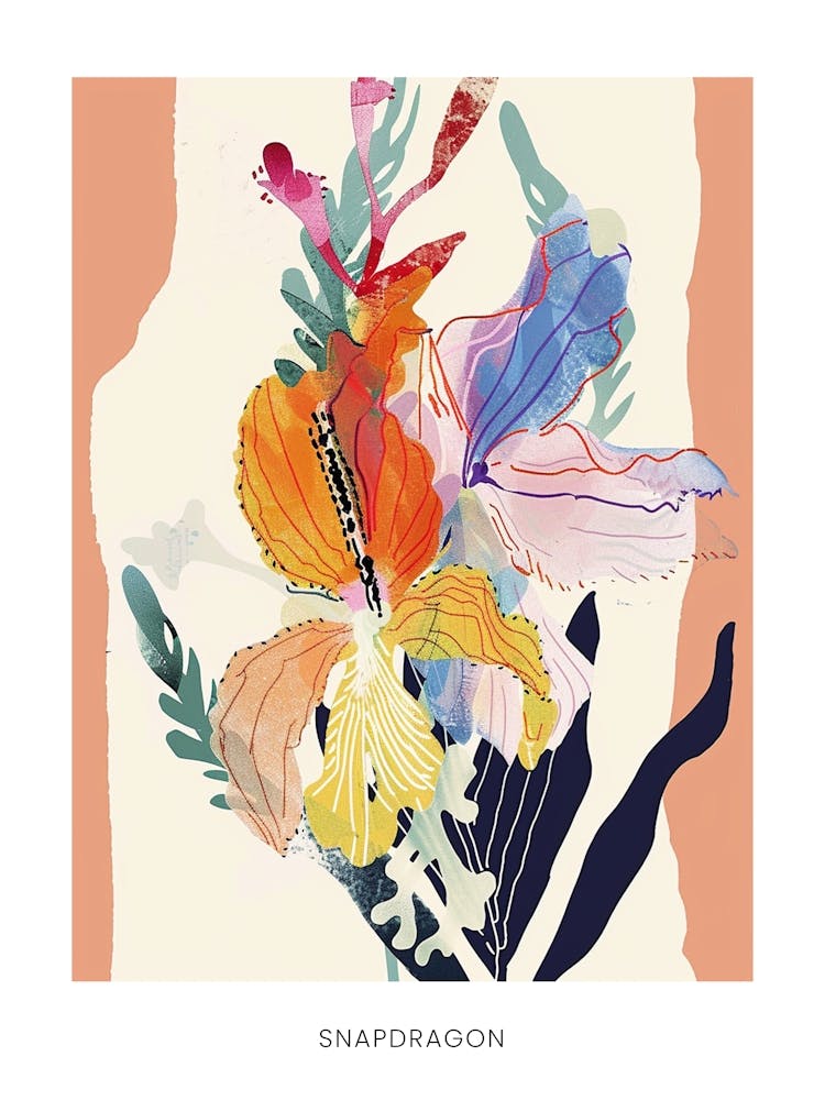 Colourful Flower Illustration Poster Snapdragon 4