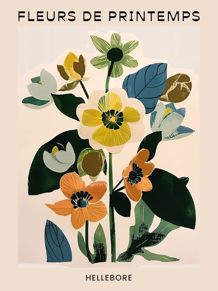 Spring Floral French Poster  Hellebore 2