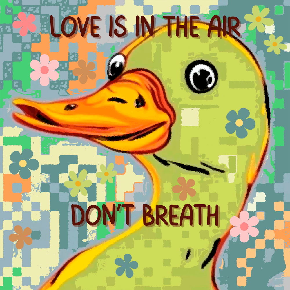 Duck Love Advise