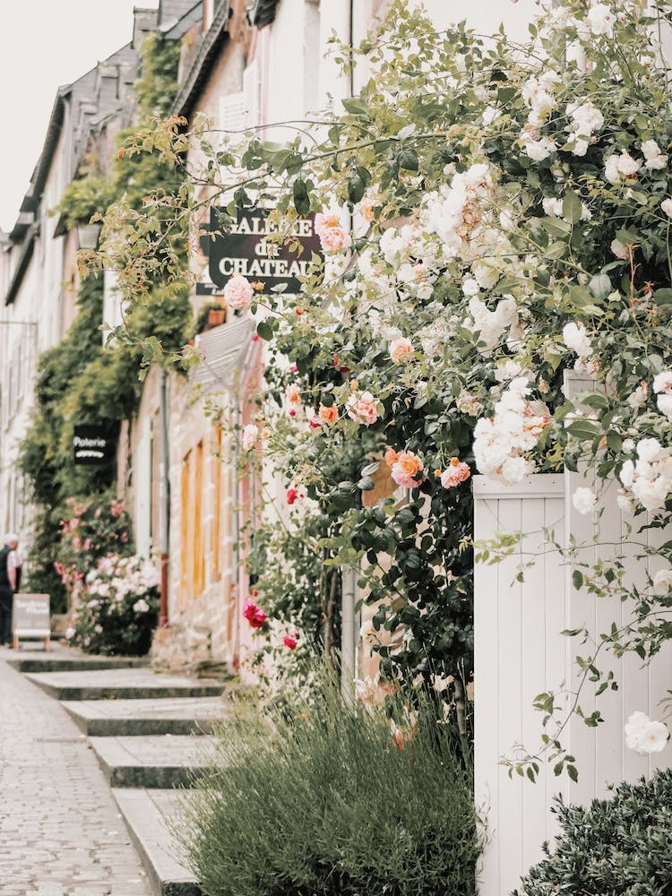 Rose Covered Street