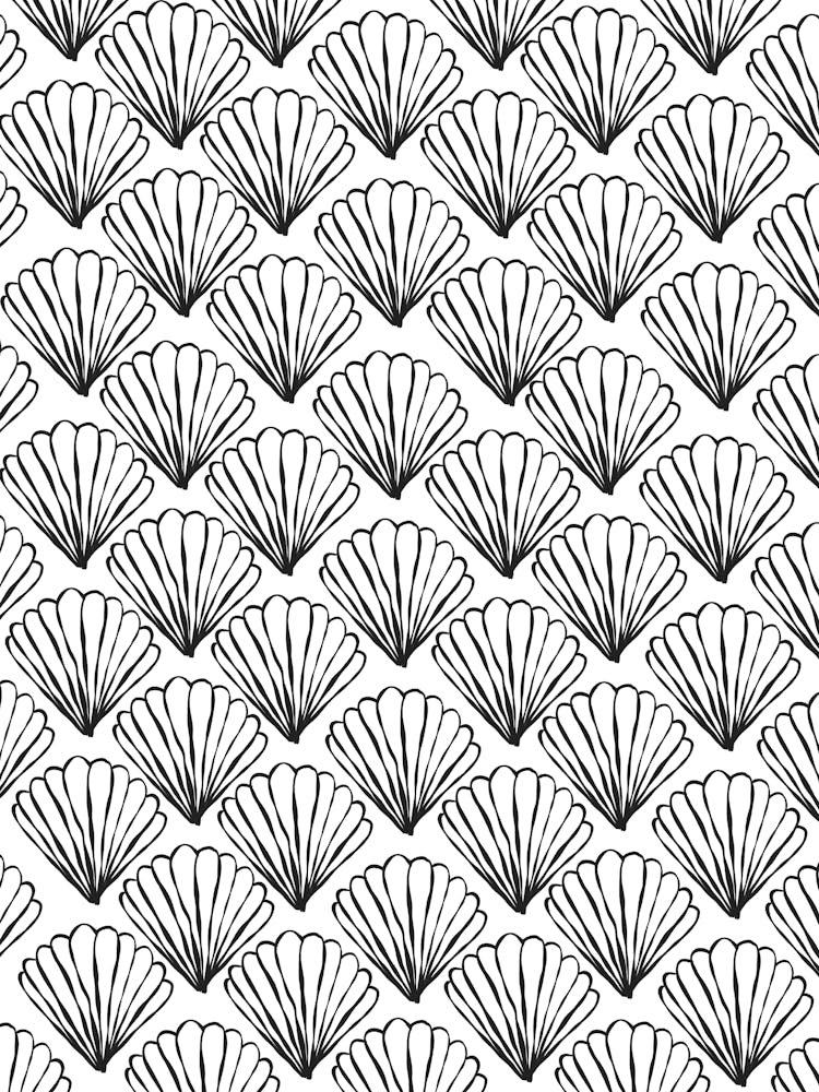 Seashells Pattern