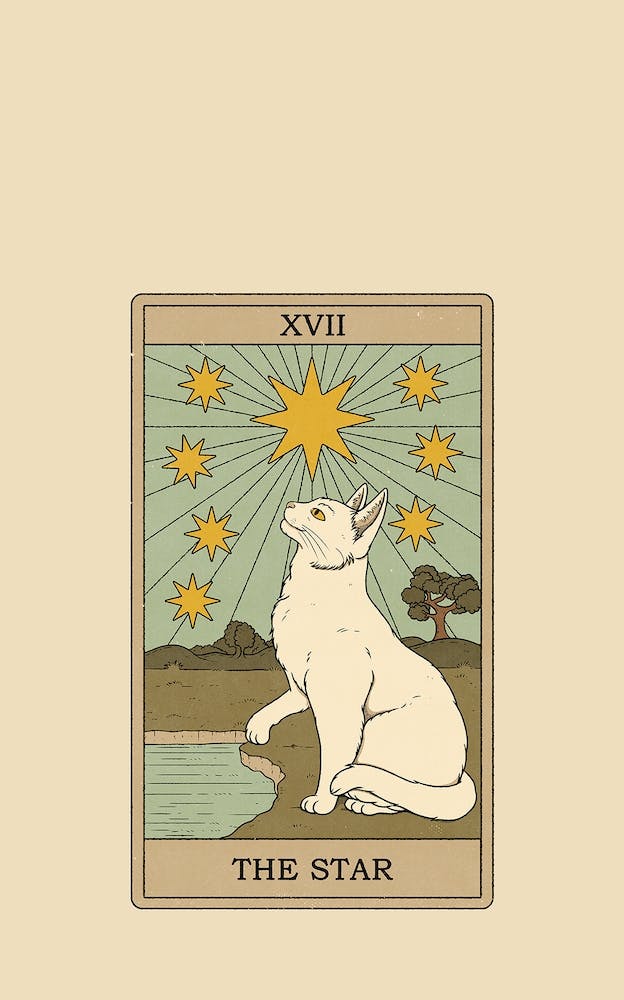 The Star   Cats Tarot
