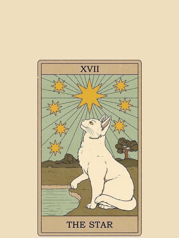 The Star   Cats Tarot