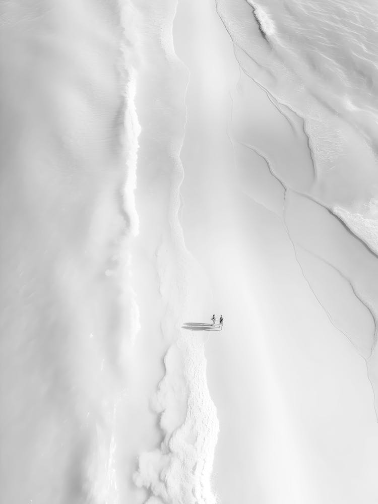 Polar Bears In The Snow