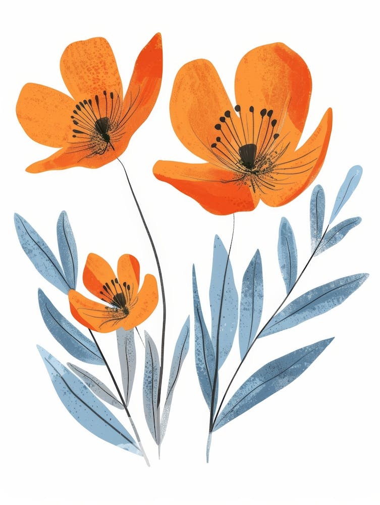 Orange Poppies 7