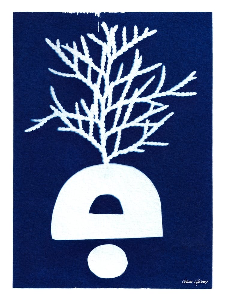 Blue Cyanotype Abstract Collage And Plants 3
