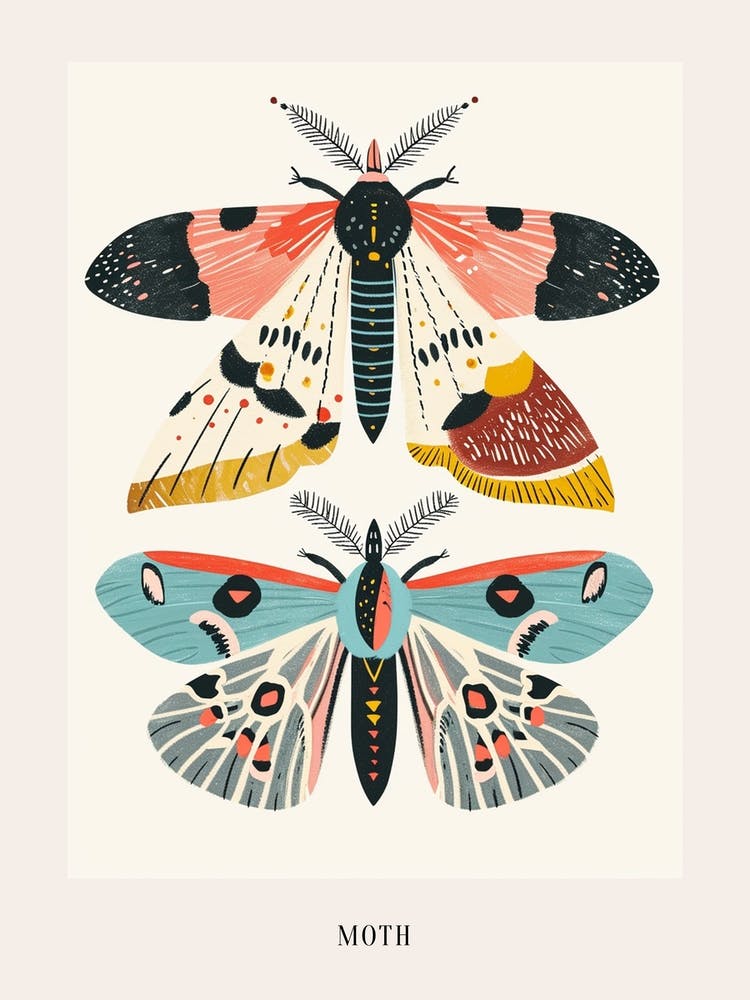 Colourful Insect Illustration Moth 36 Poster