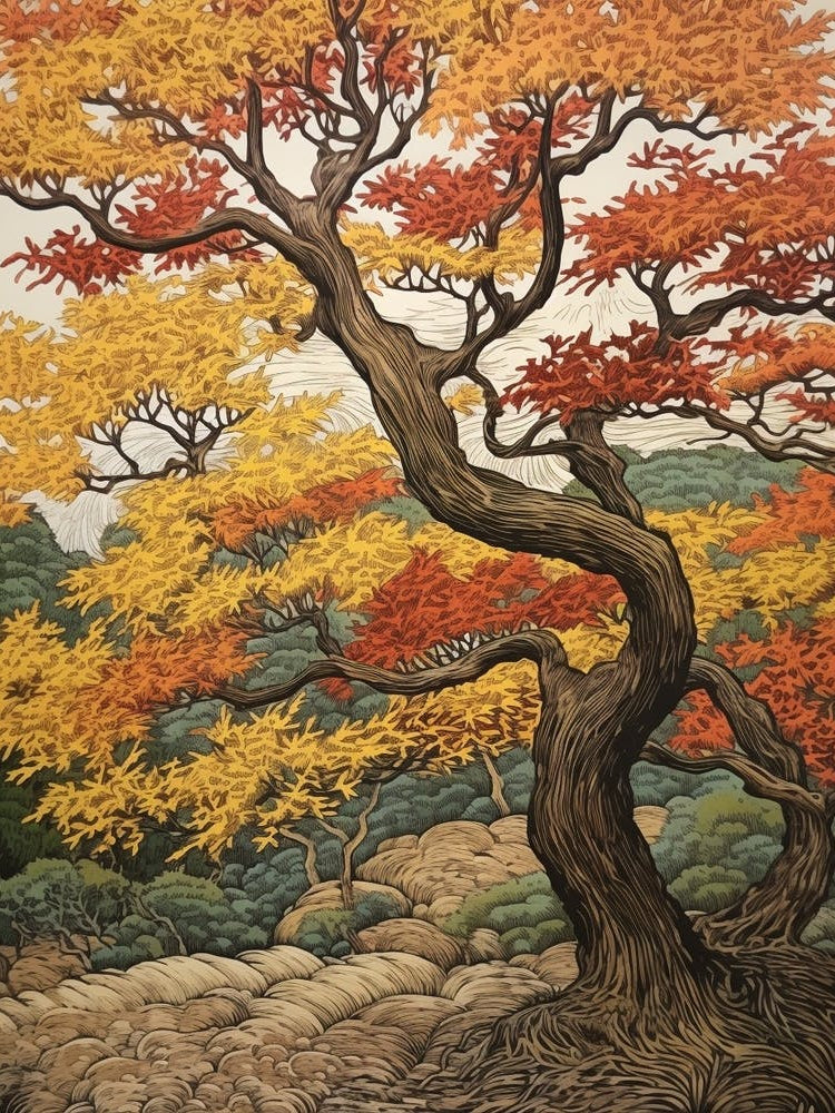 European White Elm 1 Vintage Autumn Tree Print 