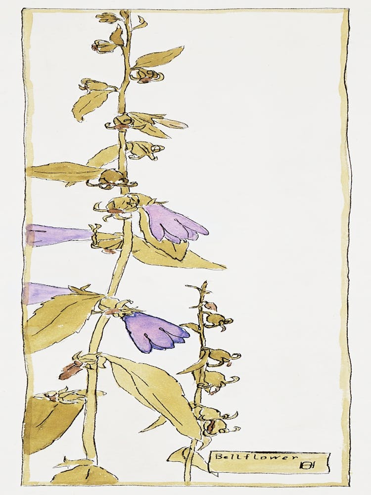 Glockenblume (1915), Hannah Borger Overbeck
