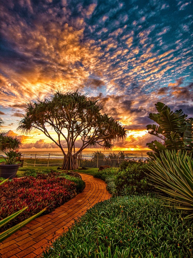 Red Path