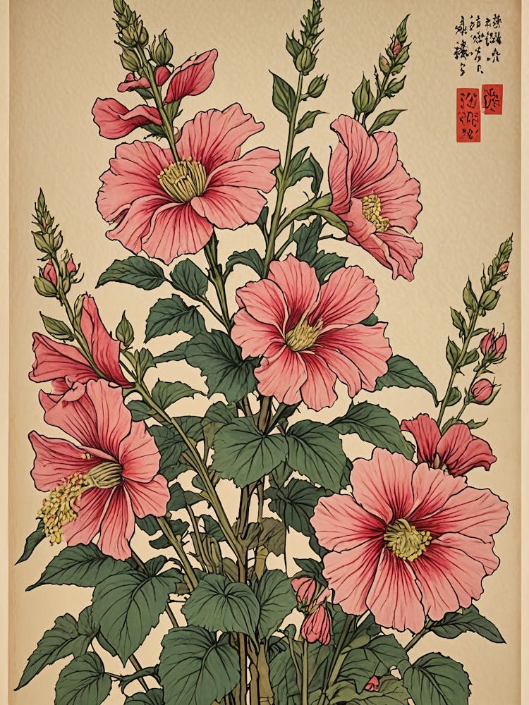 Hibiscus