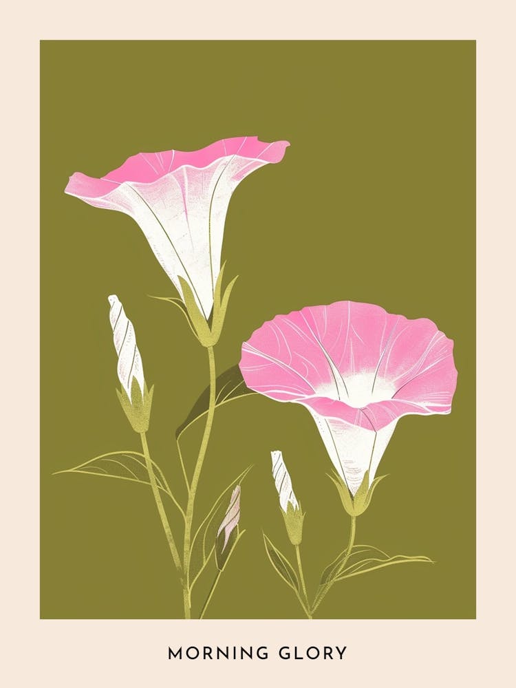 Pink & Green Morning Glory 1 Flower Poster