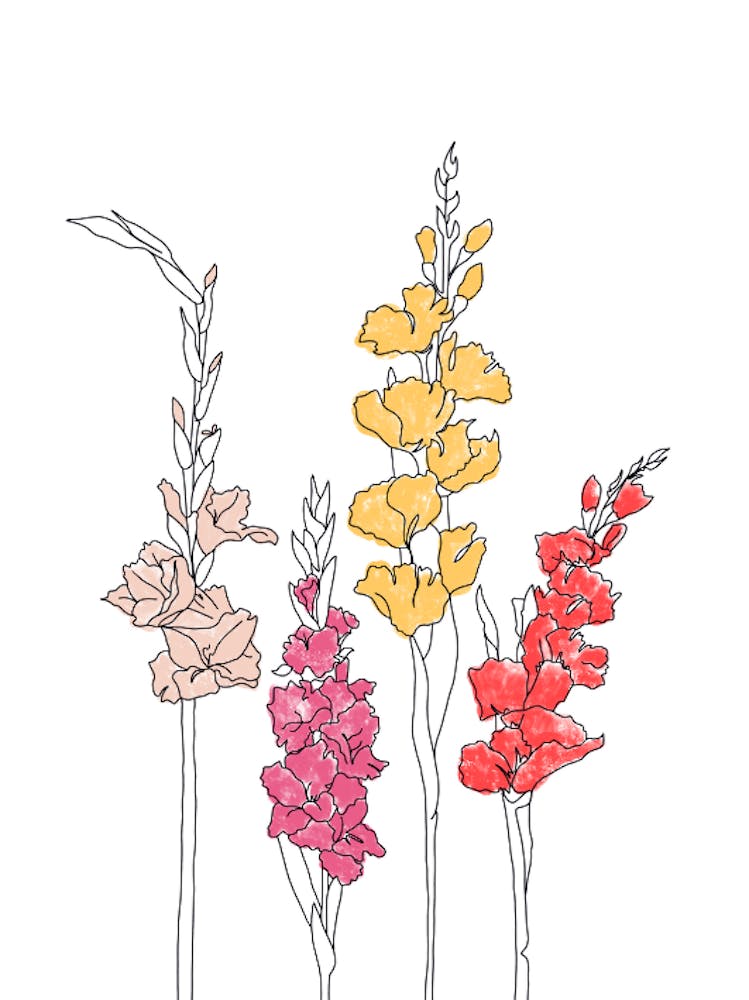 Wildflowers 1