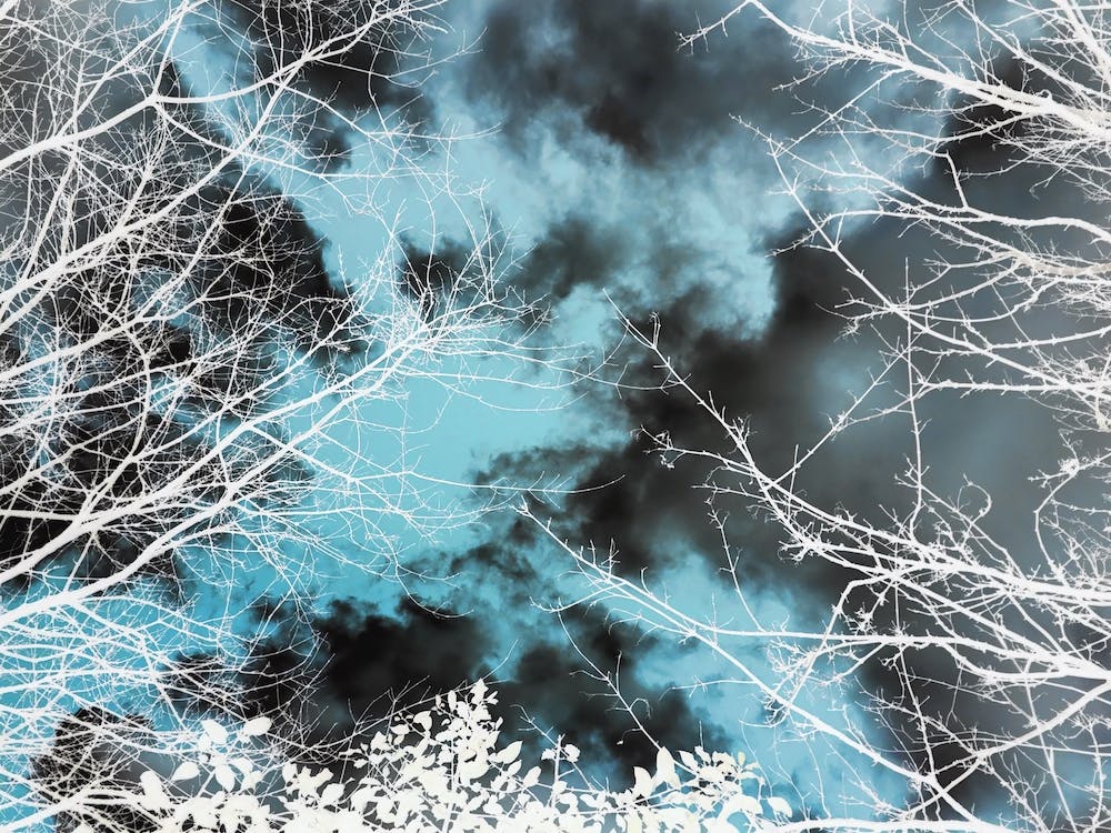Arbres Et Nuages Verts Et Monochromes