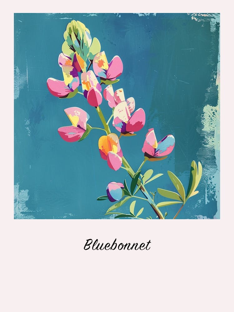 Bluebonnet 2 Square Flower Illustration Poster