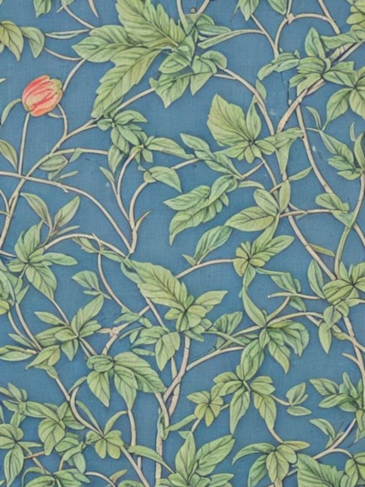 Fruit Tree Leaves Botanical Fruit