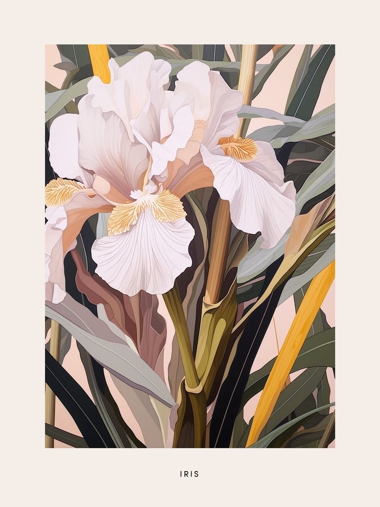 Flower Illustration Iris 3 Poster