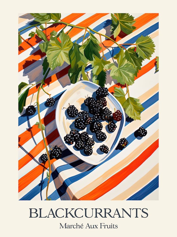 Marche Aux Fruits Blackcurrants Fruit Summer Illustration 3