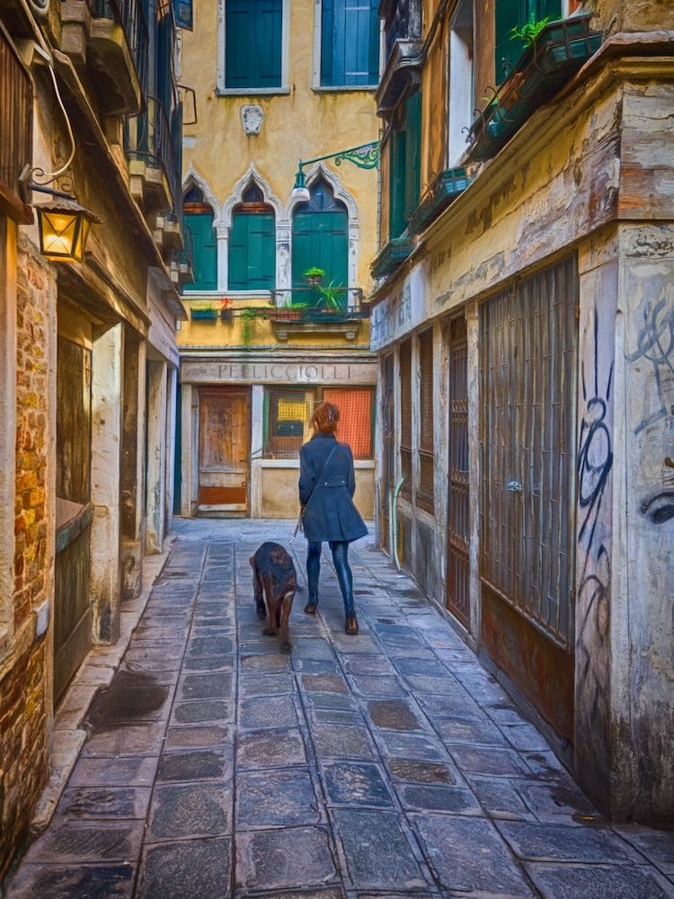 Walking The Dog Venice