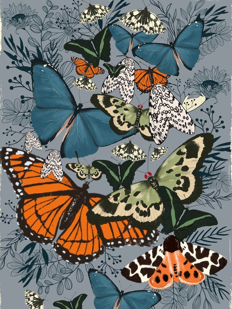 Papillon