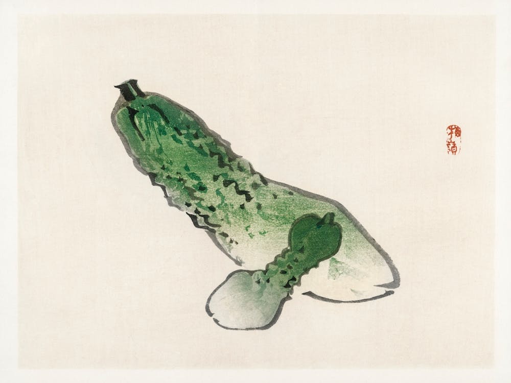 Kürbisgewächse, Kōno Bairei