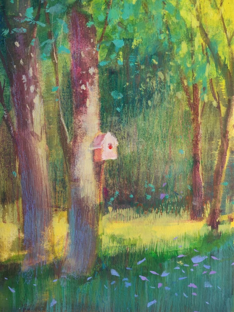 Sun Spot In An Enchanted Forest