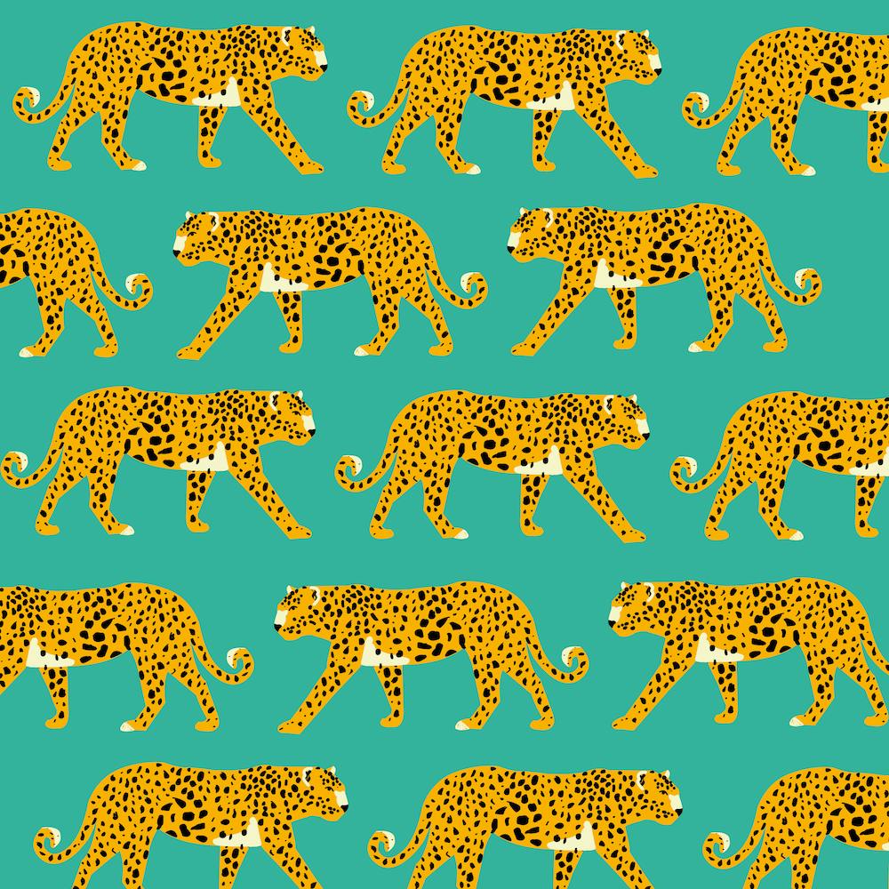 Leopard Love