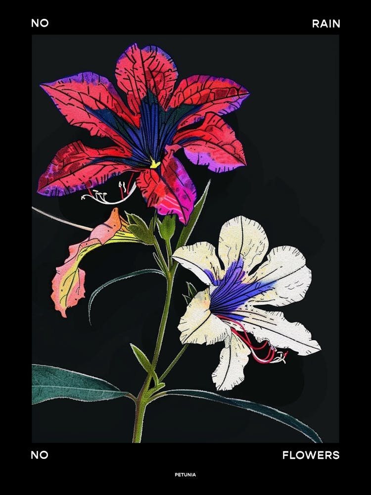 No Rain No Flowers Poster Petunia 2