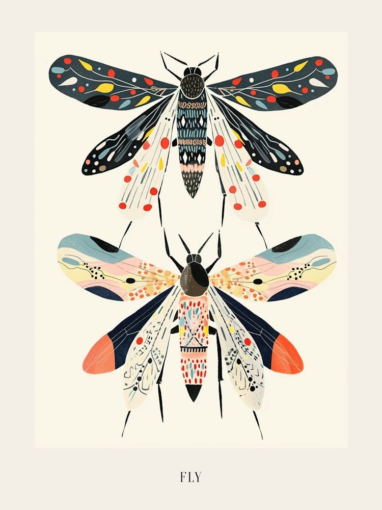 Colourful Insect Illustration Fly 10 Poster