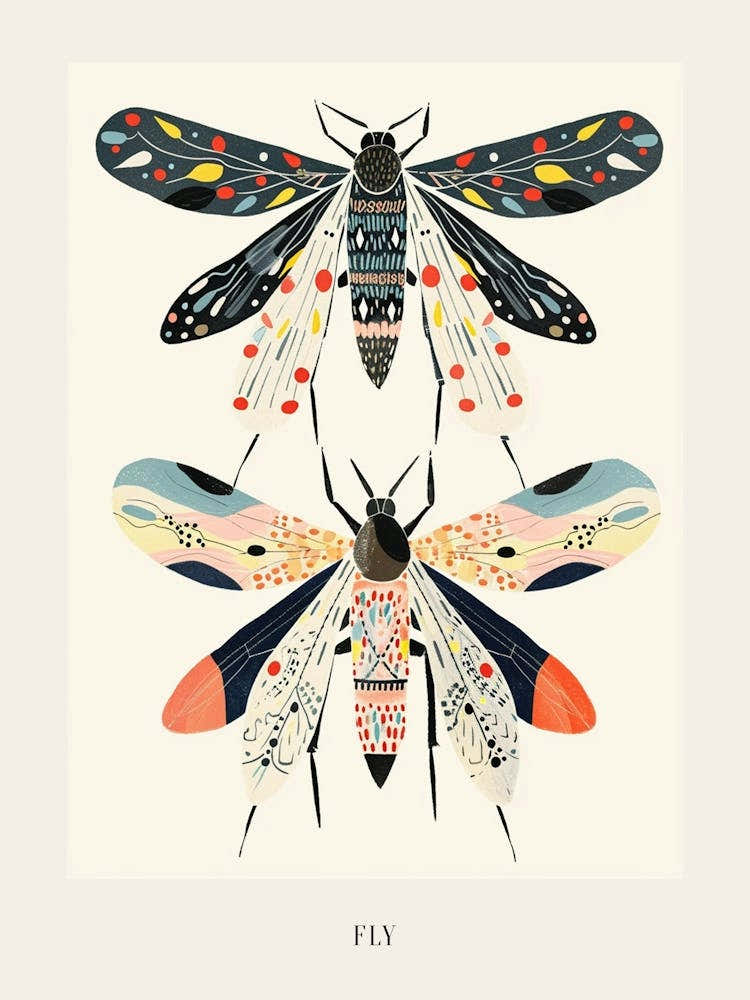 Colourful Insect Illustration Fly 10 Poster