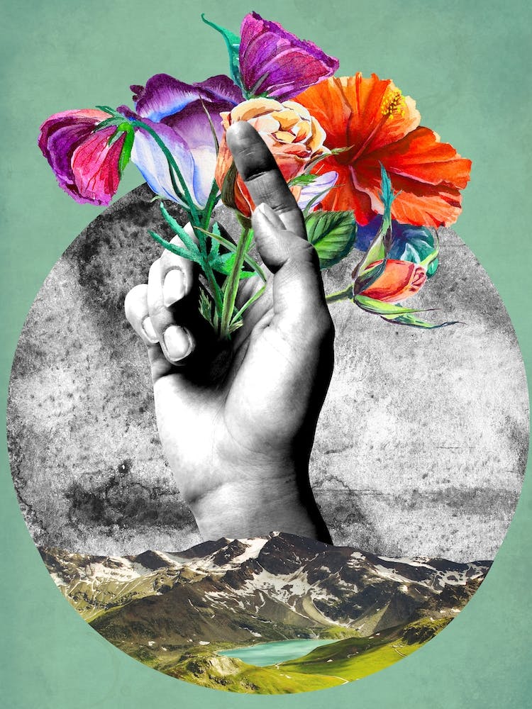 The Hand Of The Nature