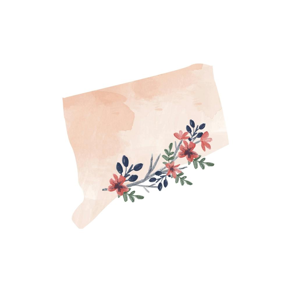 Connecticut Watercolor Floral State