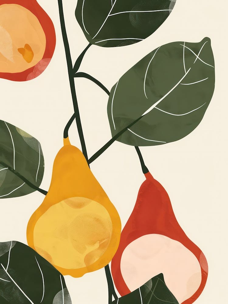 Figs Close Up Illustration 3