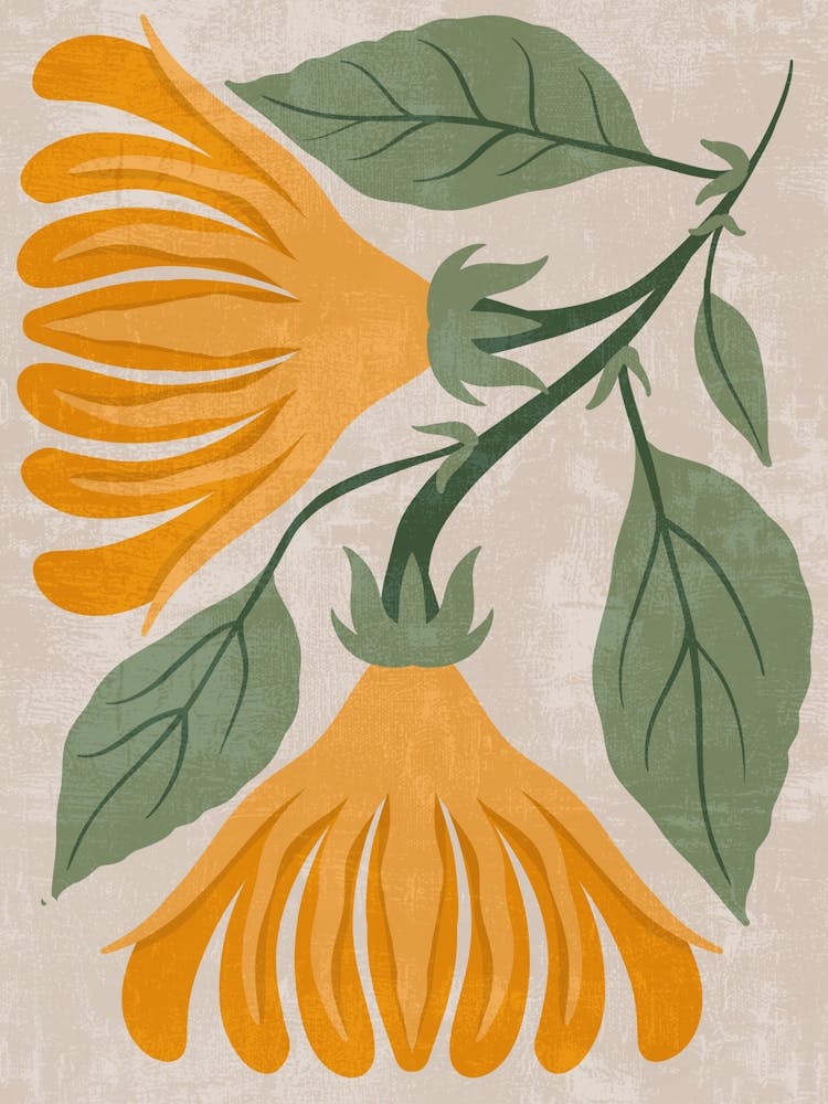Hibiscus 79