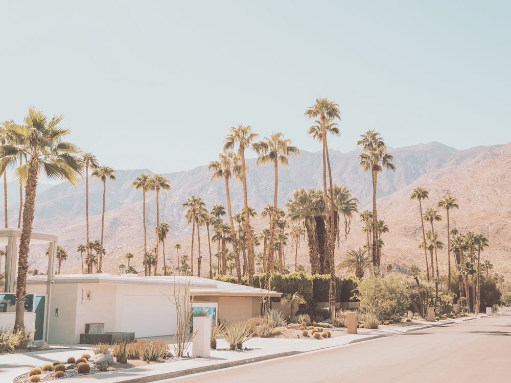 Street In Palm Springs