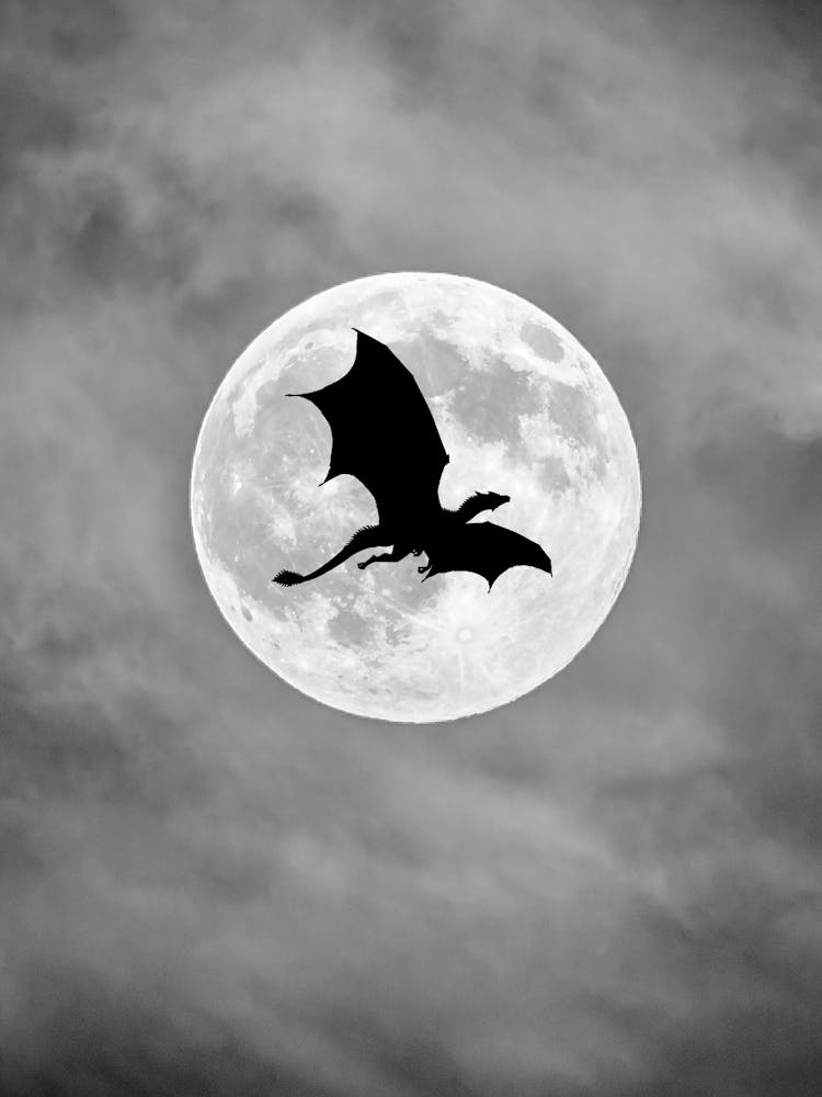 Dragon In The Moonlight