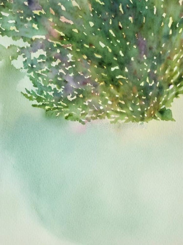 Acropora Horrida Storybook Watercolour