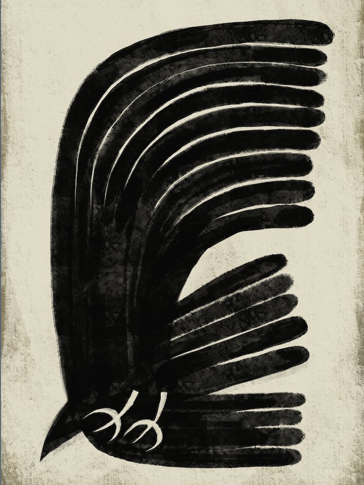 Black Eagle Bird On Neutral