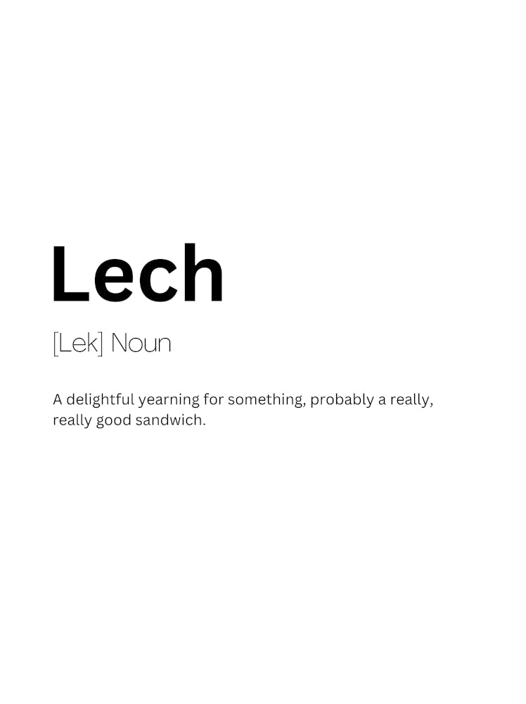 Lech Definition Meaning