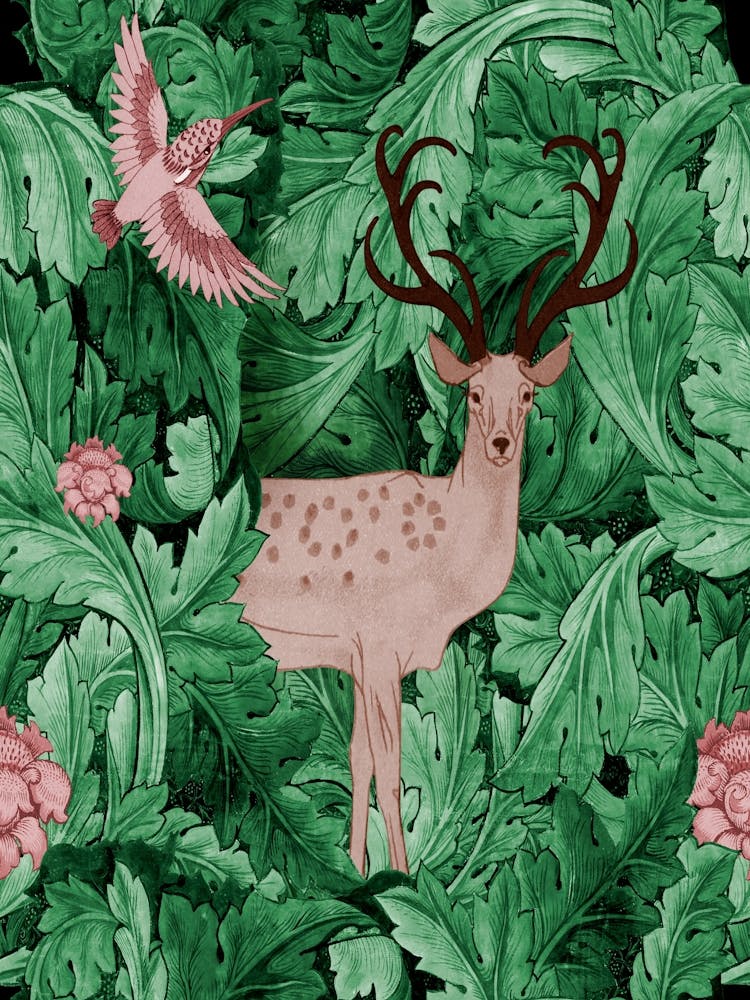 Deer And Hummingbird