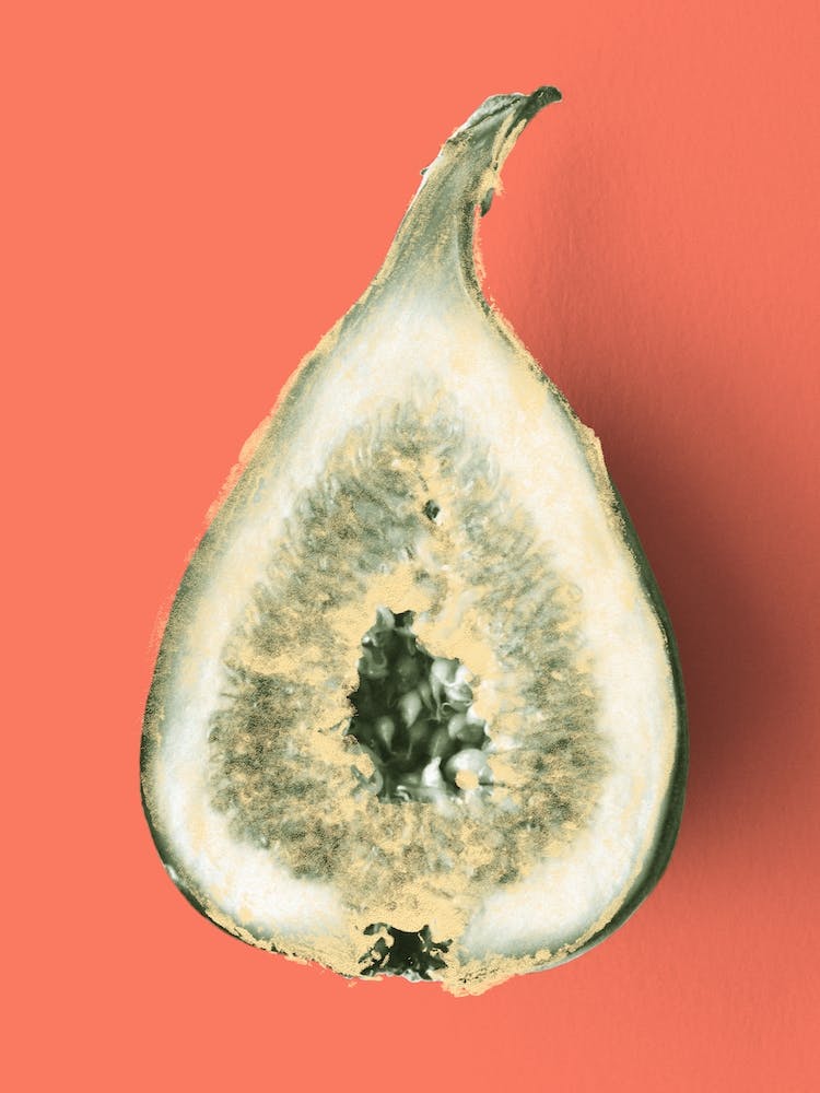 Ode aux Légumes Figue