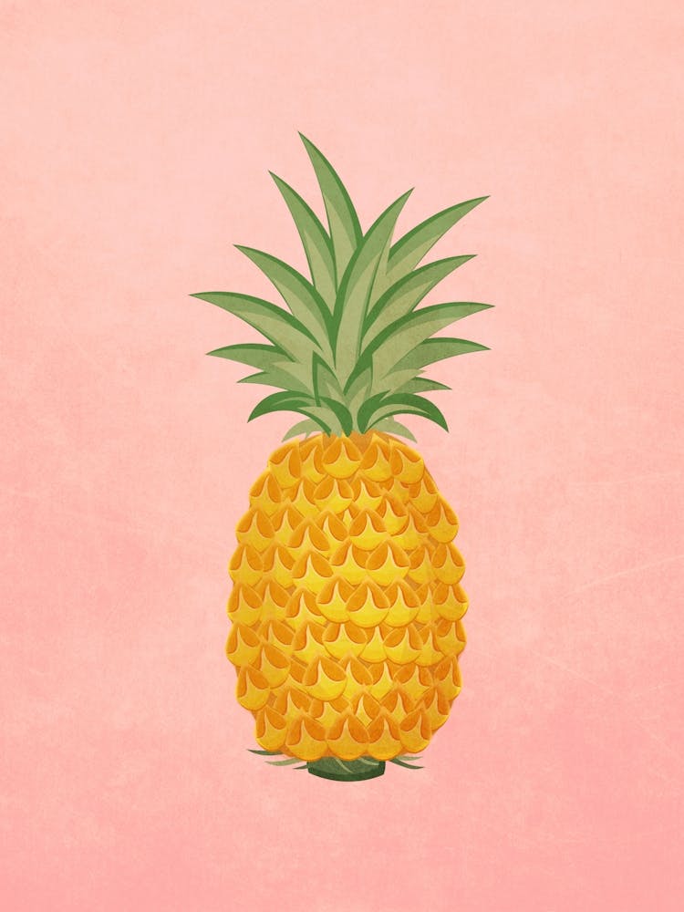 Vintage Minimal Art Pineapple on A pink background