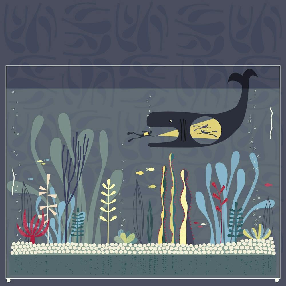 Diving with Whales in the Aquarium Fishtank