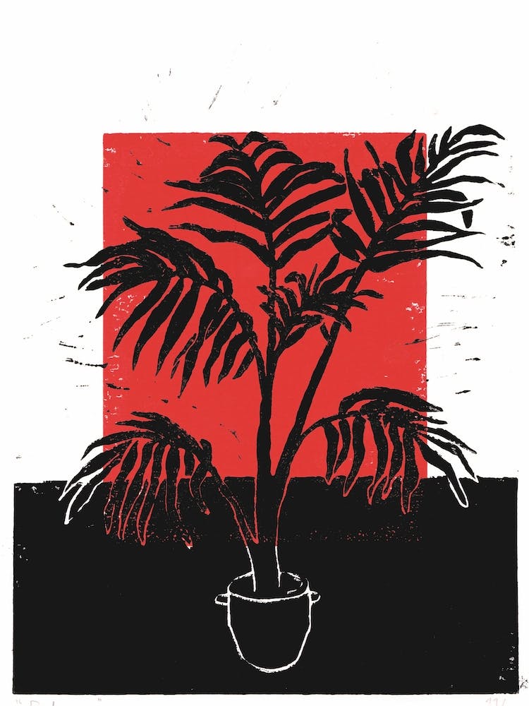 Palma