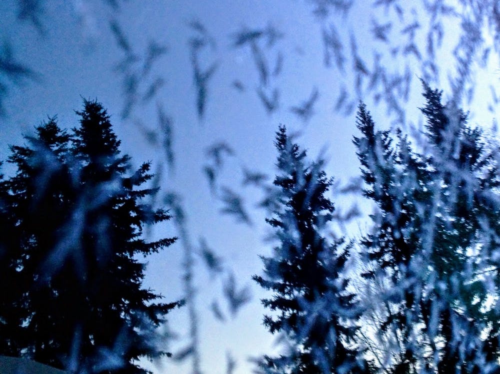 Bäume, gespiegelt auf einer gefrosteten Fensterscheibe in Anchorage