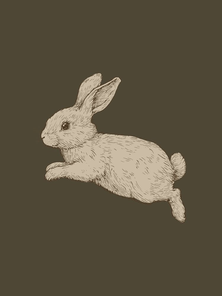 Vintage Rabbit
