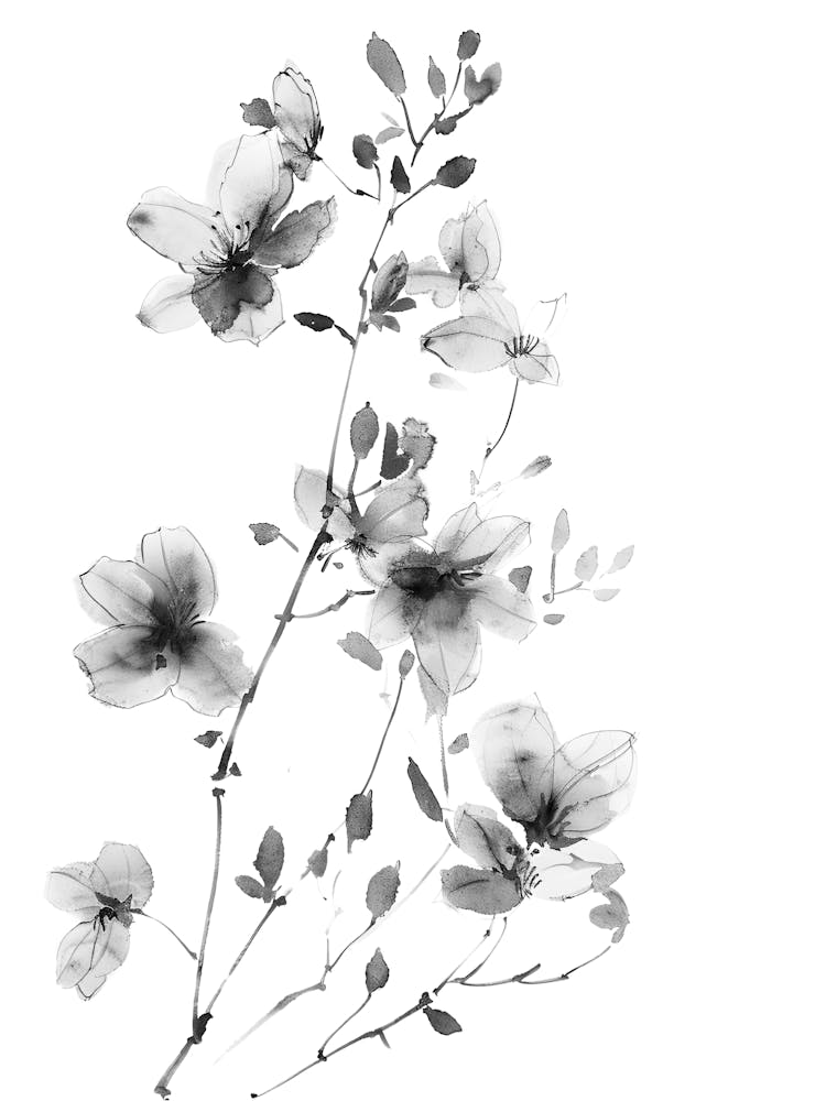 Black And White Flowers 83