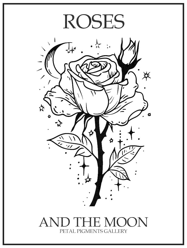 Roses And The Moon Line Drawing 2 Poster
