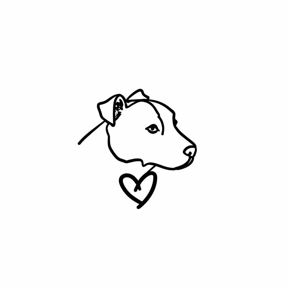 Pit Bull Dog