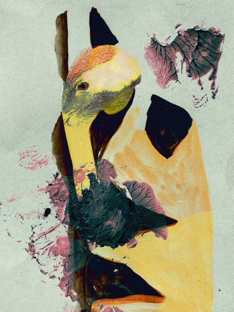 Vogelfutter